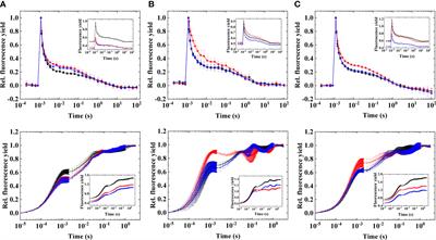 Heat-Induced Photosynthetic Responses of Symbiodiniaceae Revealed by Flash-Induced Fluorescence Relaxation Kinetics